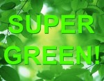 Why You Don’t Want a Green Hard Drive