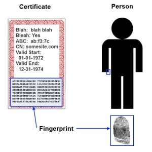 A hash is like a fingerprint