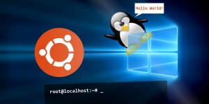 Ubuntu Bash + Windows 10