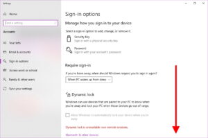 Sign-in Options 2