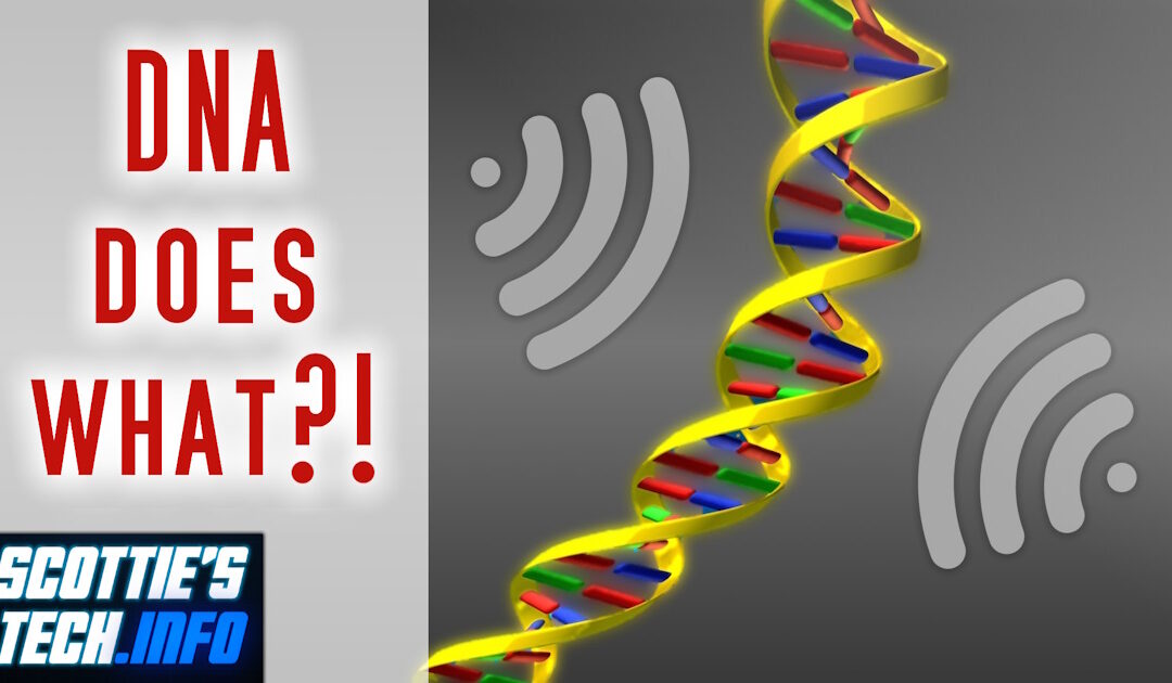 Is your DNA an EMF antenna?