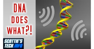 DNA is a Fractal Antenna?!
