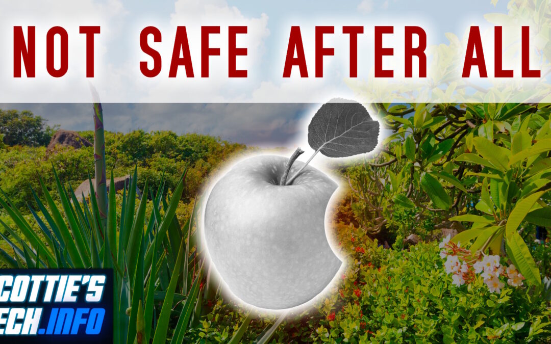 iPhones aren’t as safe as you think